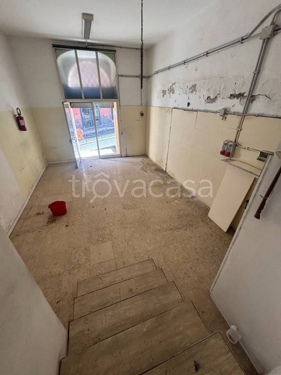 immagine annuncio 4 di 14