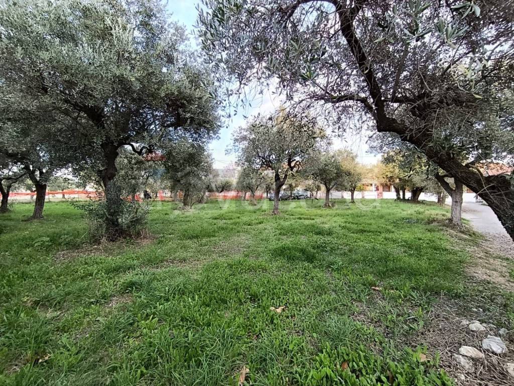 immagine annuncio 2 di 9