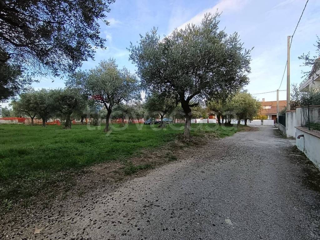 immagine annuncio 4 di 9