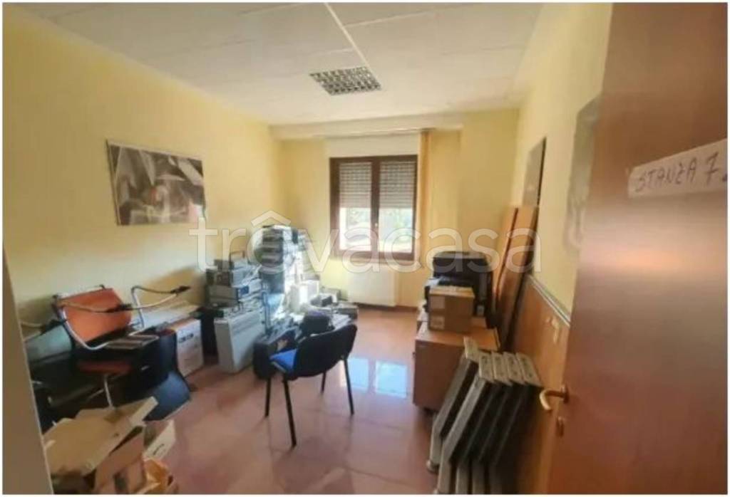 immagine annuncio 9 di 12