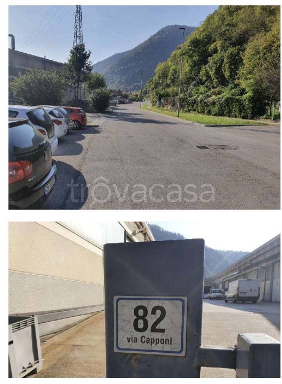 immagine annuncio 2 di 14
