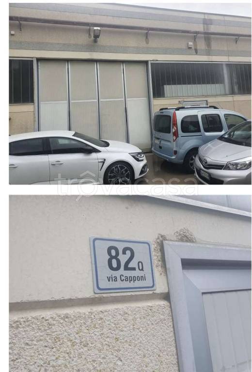 immagine annuncio 12 di 14