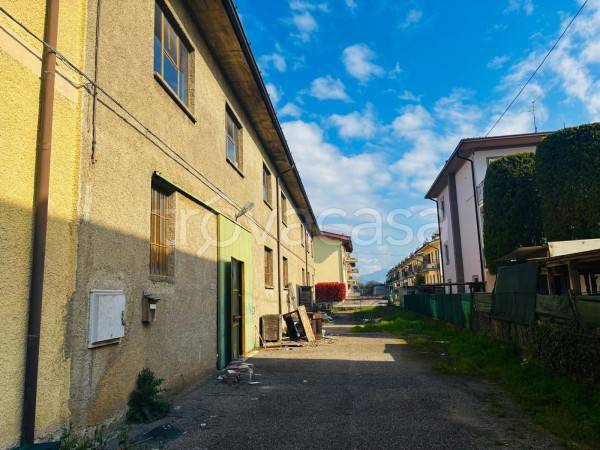 immagine annuncio 6 di 12