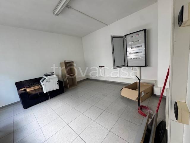 immagine annuncio 7 di 12