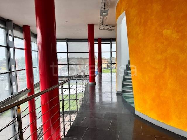 immagine annuncio 11 di 12