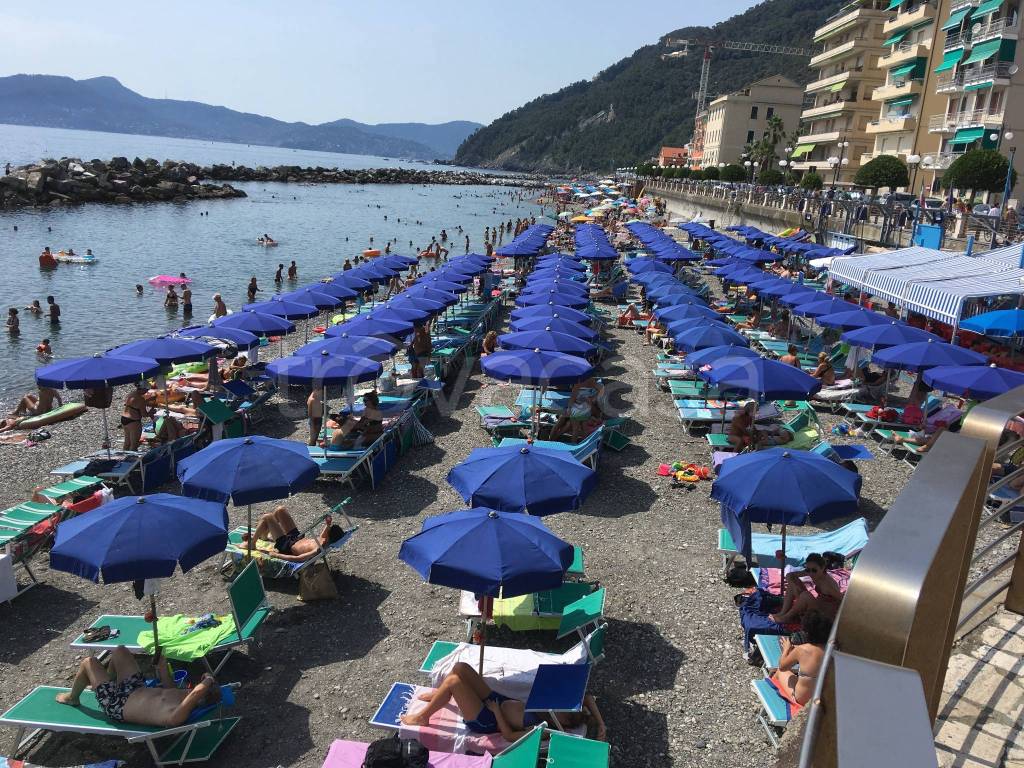 immagine annuncio 7 di 8