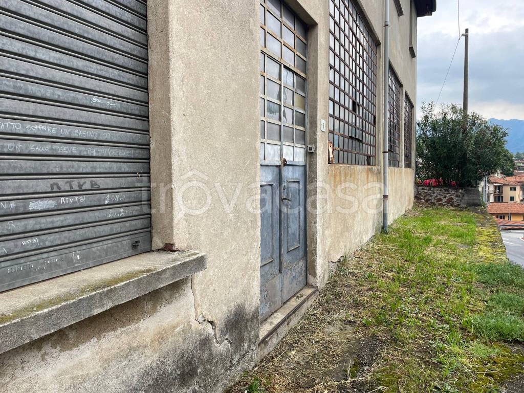 immagine annuncio 11 di 12