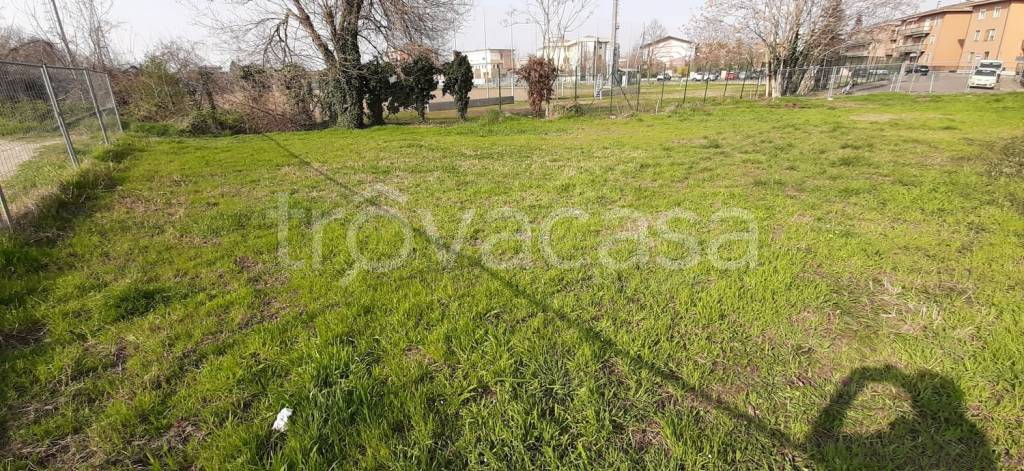 immagine annuncio 3 di 12