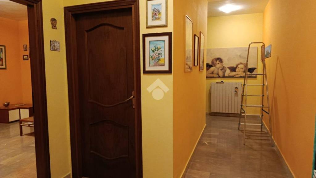 immagine annuncio 6 di 13