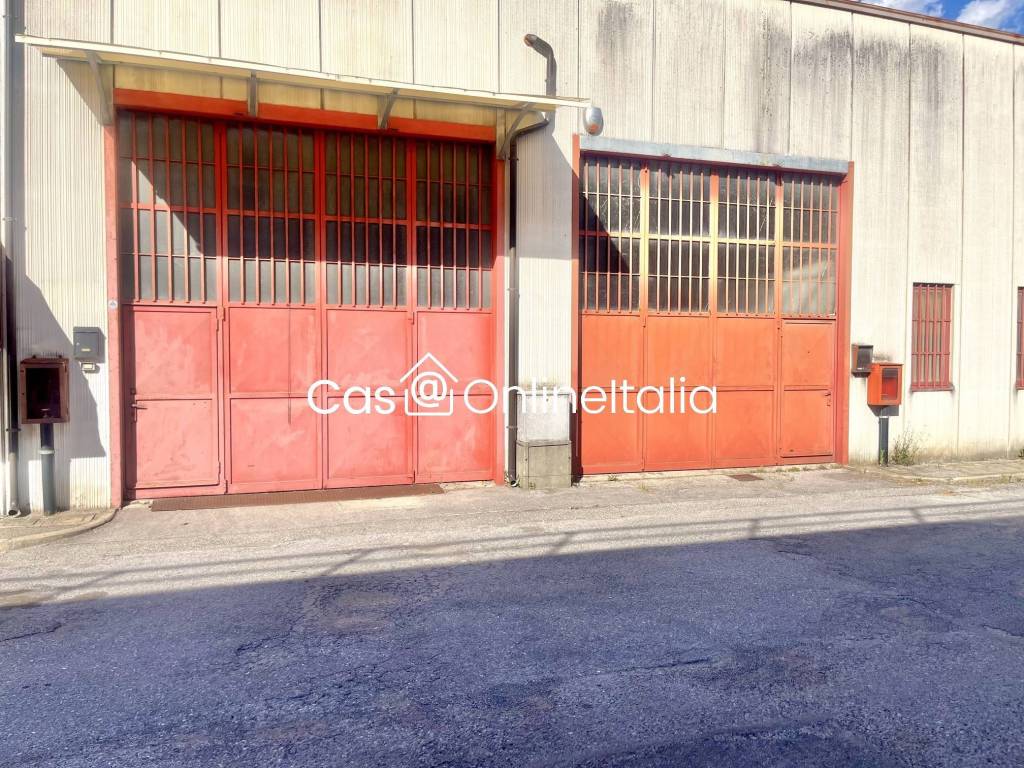 immagine annuncio 12 di 14