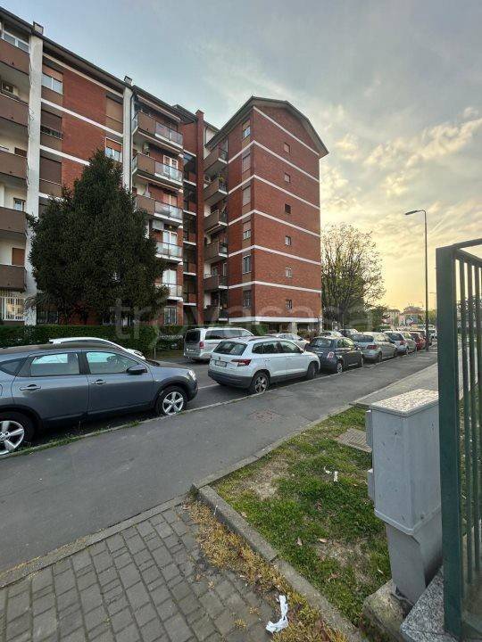 immagine annuncio 12 di 13
