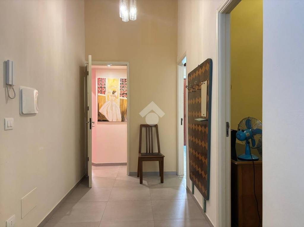 immagine annuncio 9 di 14