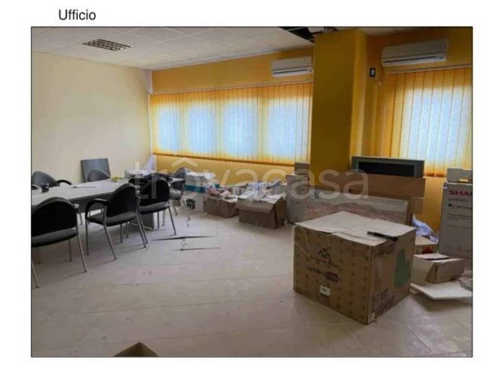 immagine annuncio 5 di 14