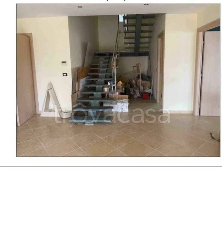 immagine annuncio 12 di 14