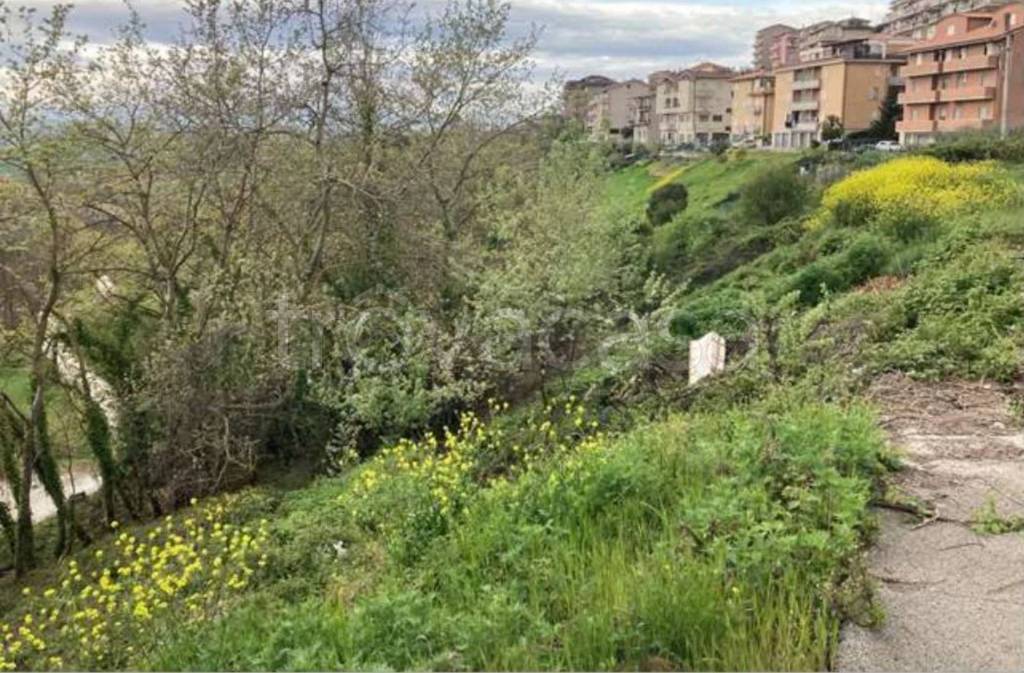 immagine annuncio 4 di 14