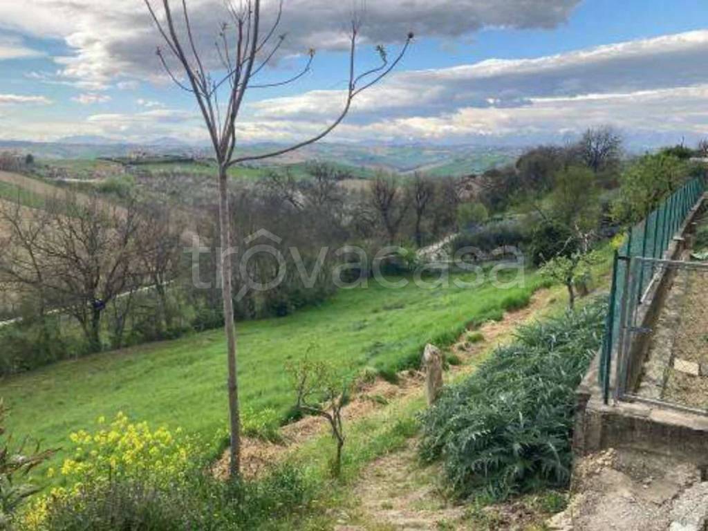 immagine annuncio 5 di 14