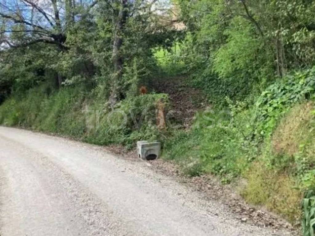 immagine annuncio 6 di 14