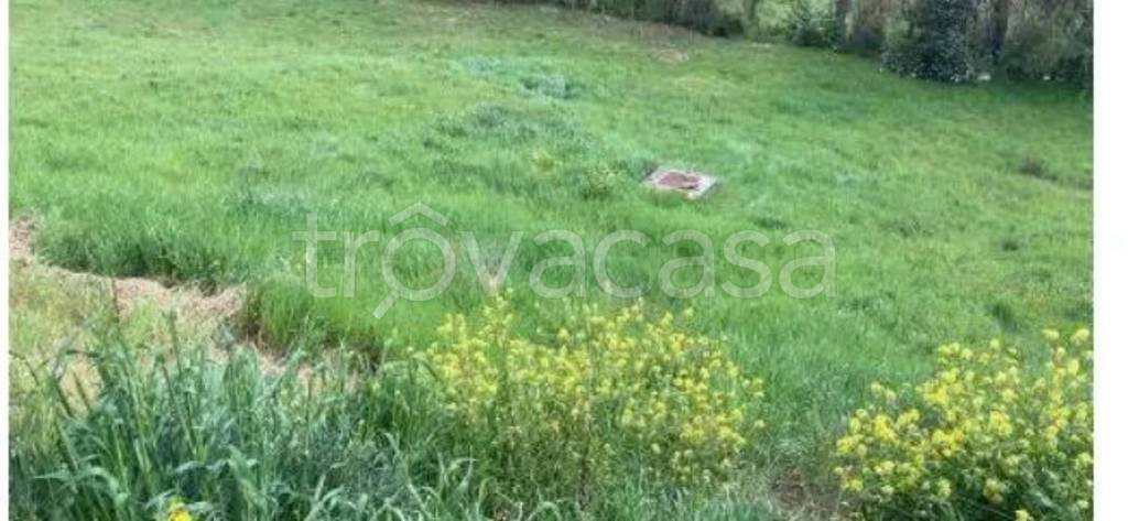 immagine annuncio 8 di 14