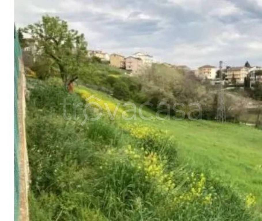immagine annuncio 9 di 14