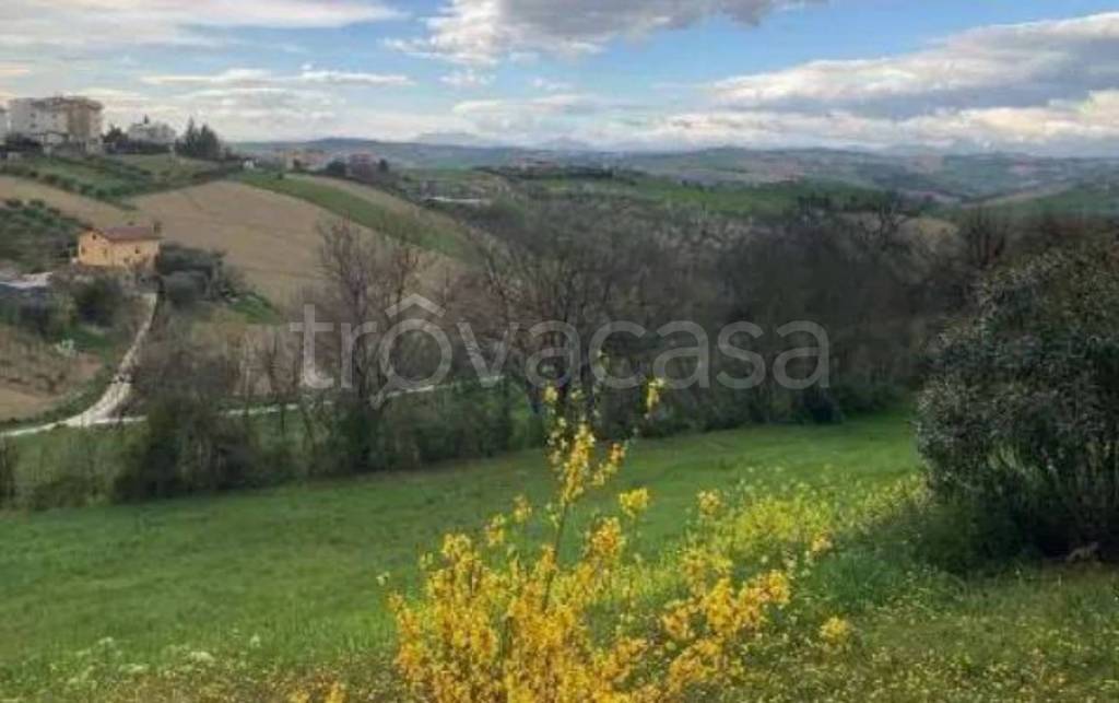 immagine annuncio 11 di 14