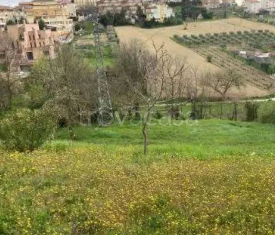 immagine annuncio 12 di 14