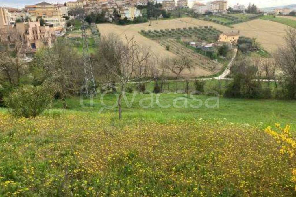 immagine annuncio 13 di 14