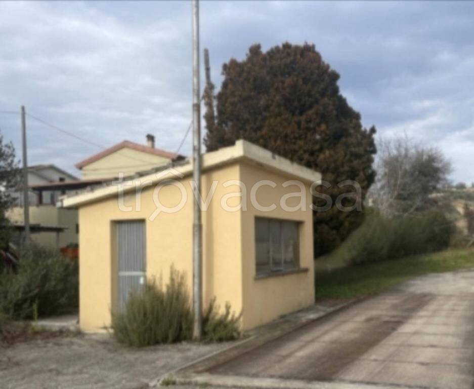 immagine annuncio 6 di 10