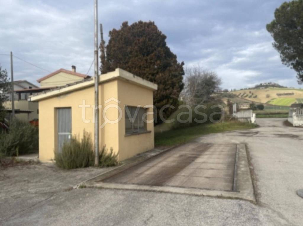immagine annuncio 9 di 10