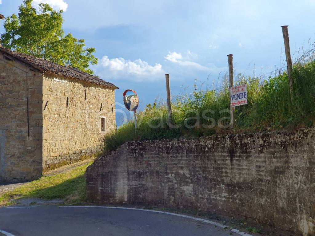 immagine annuncio 5 di 7
