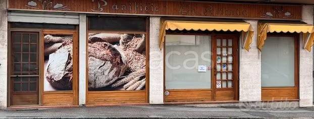 immagine annuncio 1 di 7