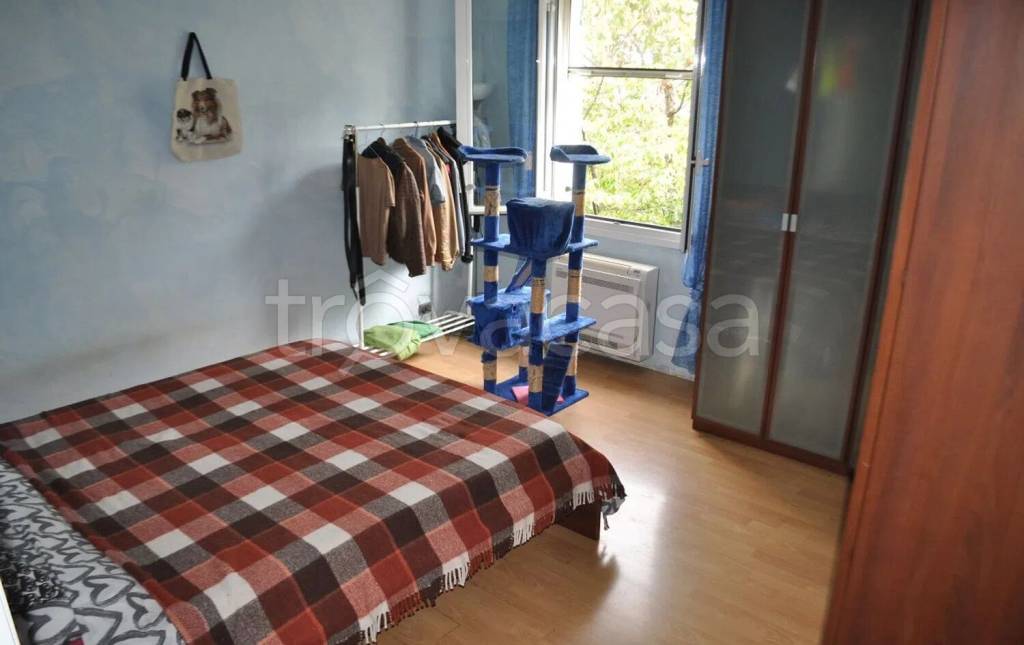 immagine annuncio 11 di 14