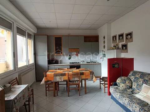 immagine annuncio 1 di 14