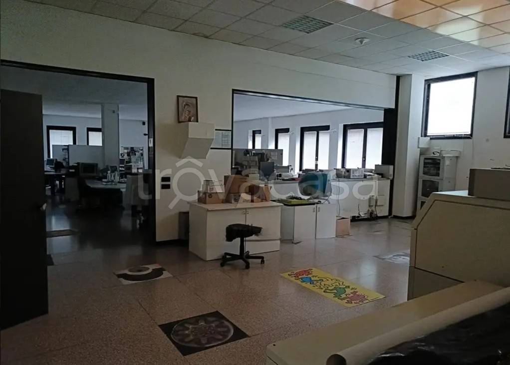 immagine annuncio 4 di 9