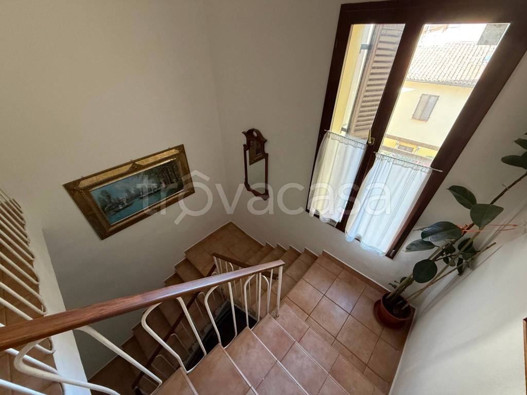 immagine annuncio 11 di 14