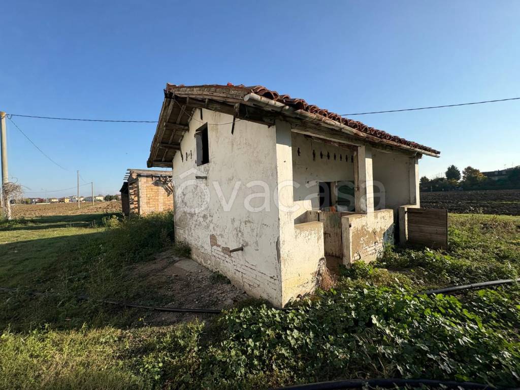 immagine annuncio 3 di 14