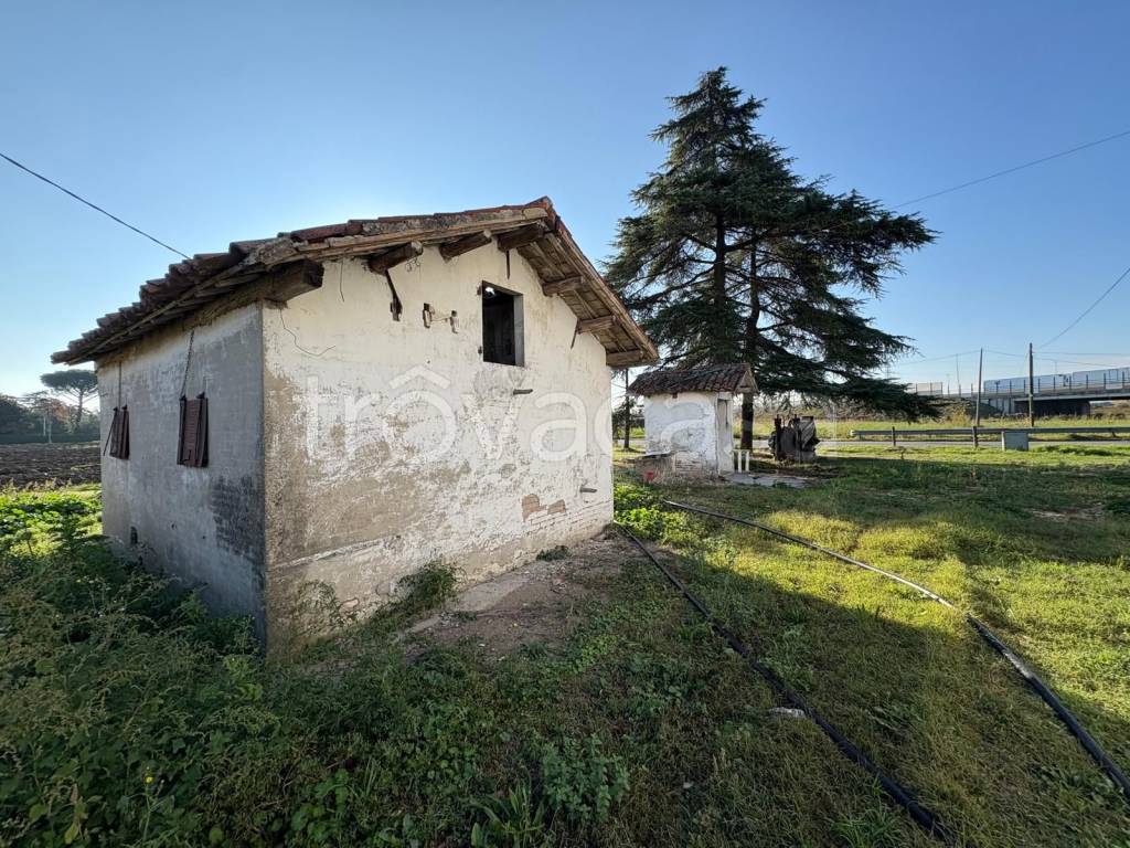 immagine annuncio 4 di 14