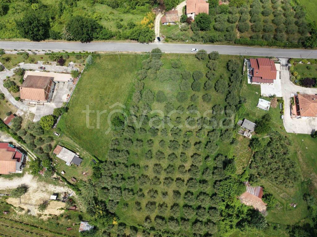 immagine annuncio 4 di 7