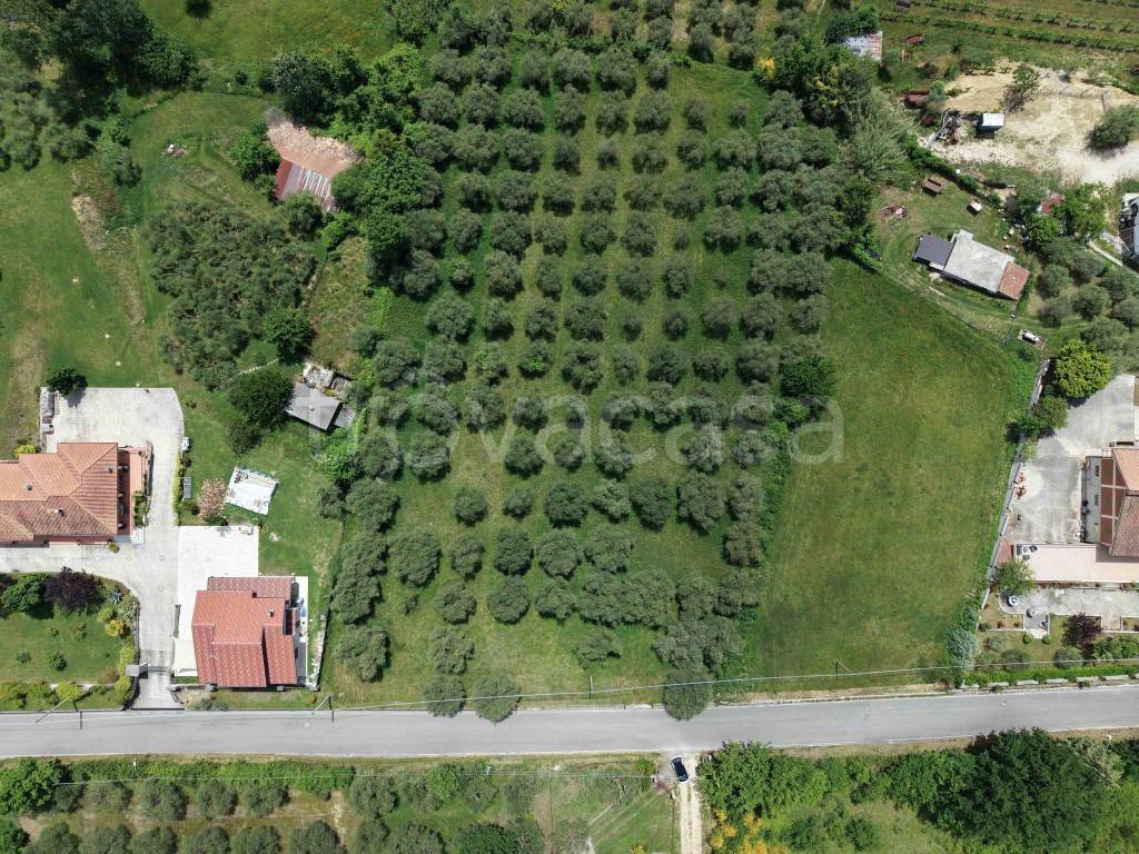 immagine annuncio 5 di 7