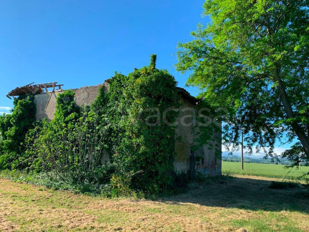 immagine annuncio 9 di 12