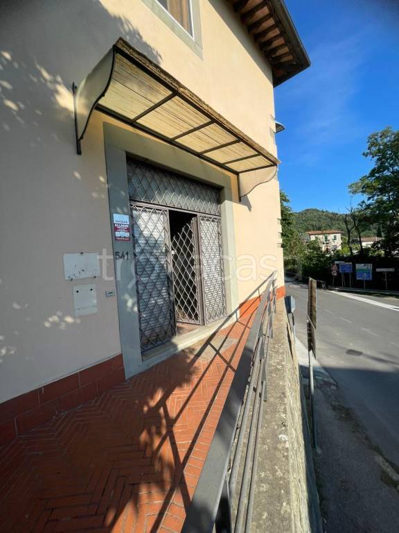 immagine annuncio 3 di 9