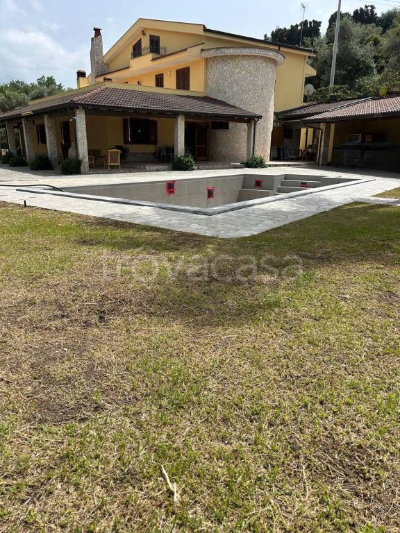 immagine annuncio 2 di 3