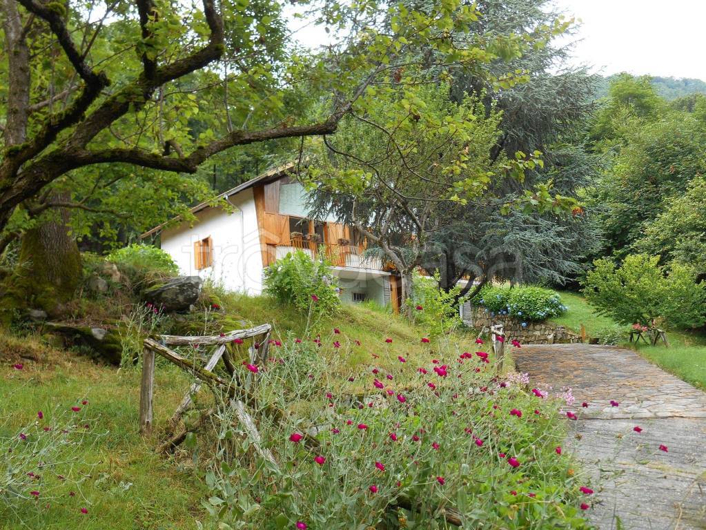 immagine annuncio 6 di 12