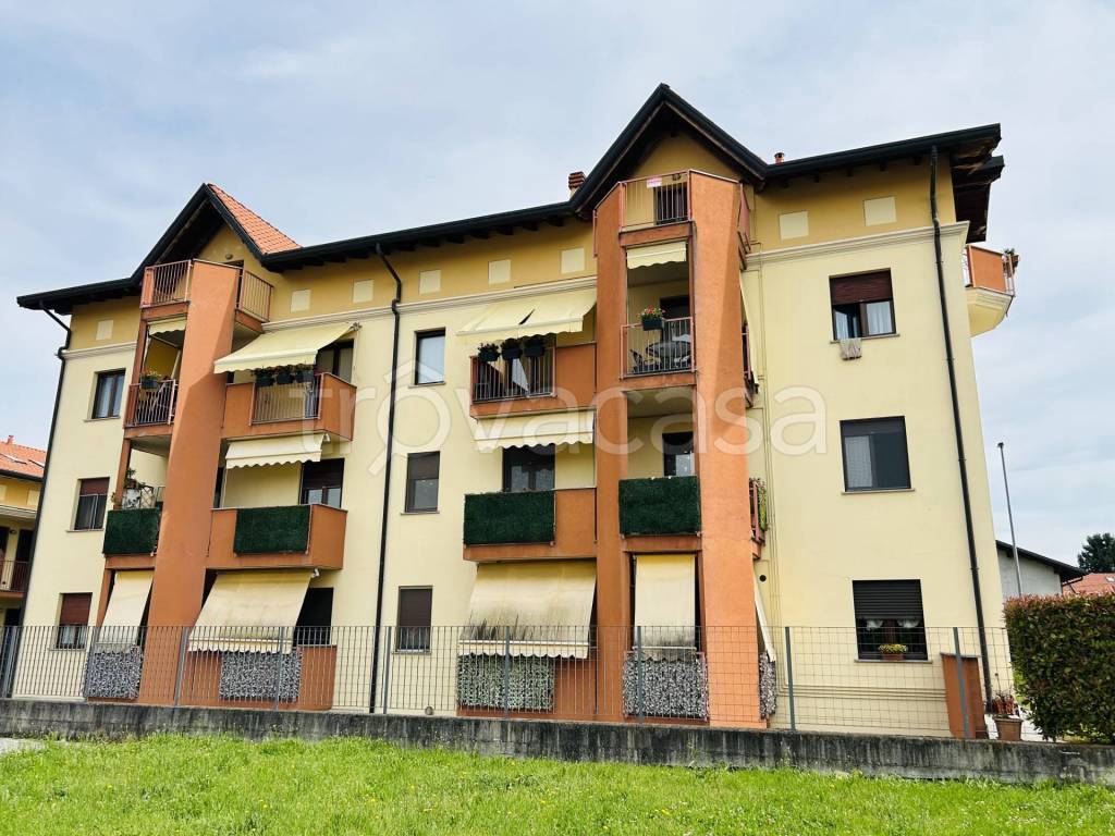 immagine annuncio 1 di 15