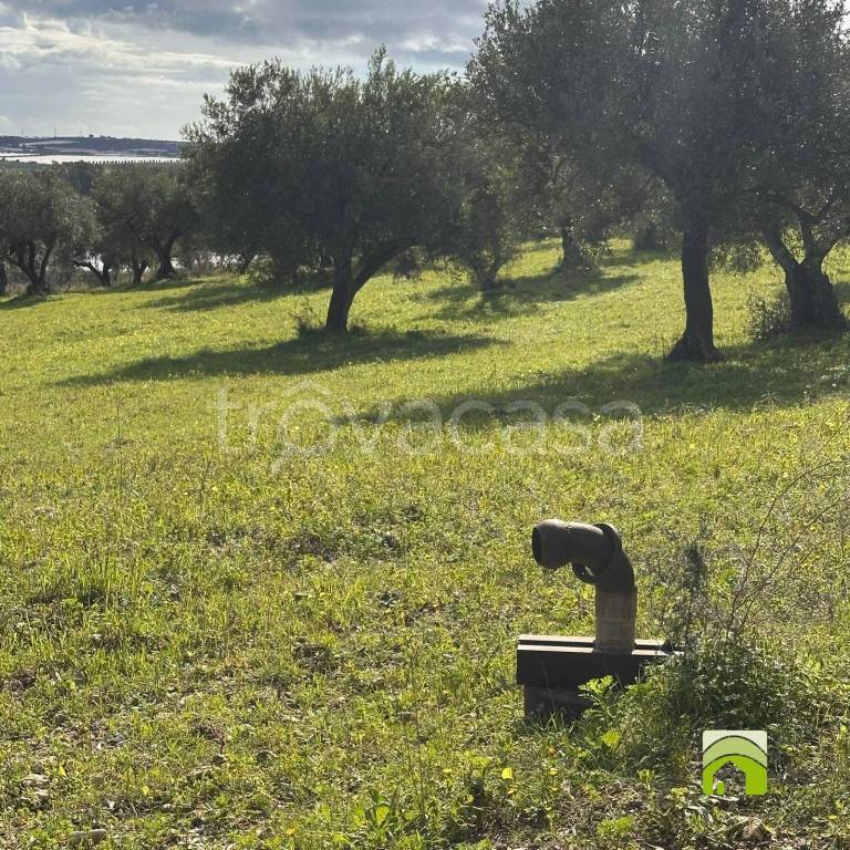 immagine annuncio 13 di 14