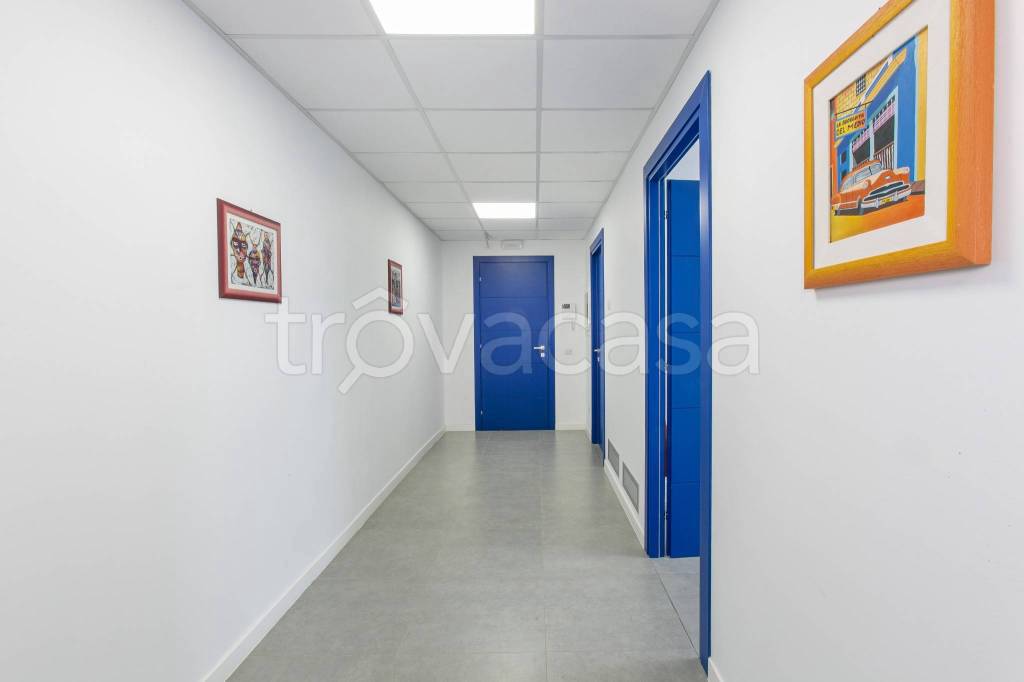immagine annuncio 1 di 14