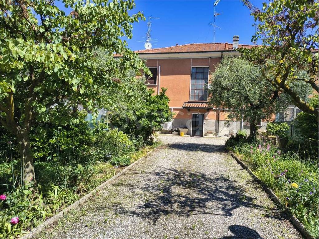 immagine annuncio 5 di 15
