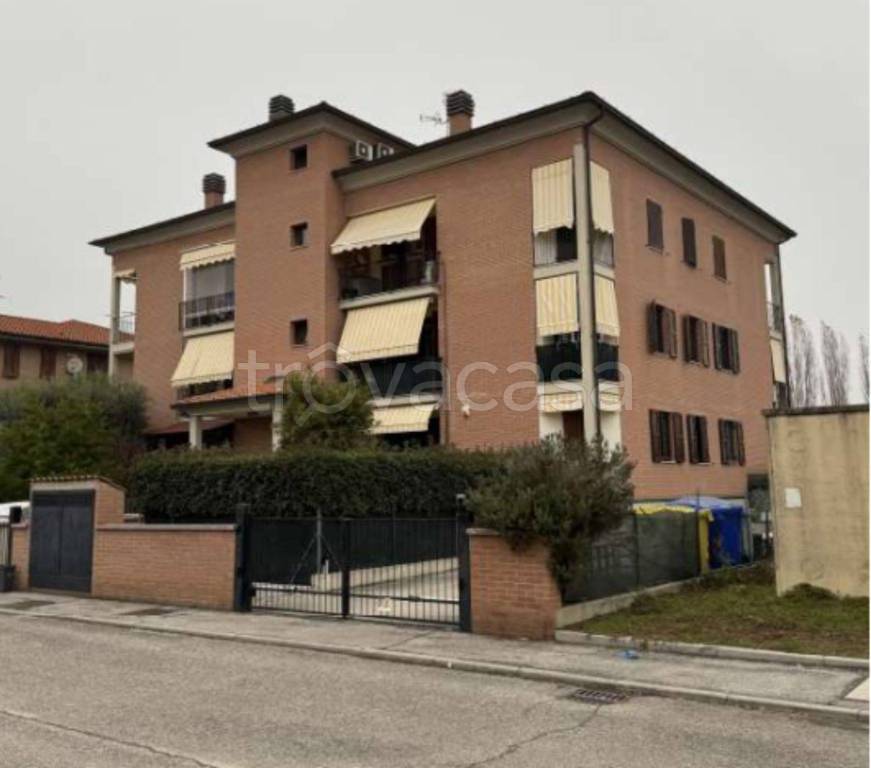 immagine annuncio 3 di 11