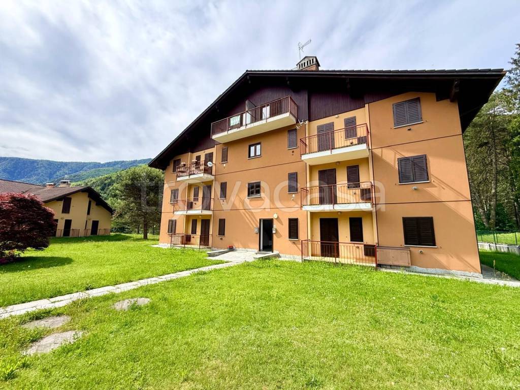 immagine annuncio 6 di 15