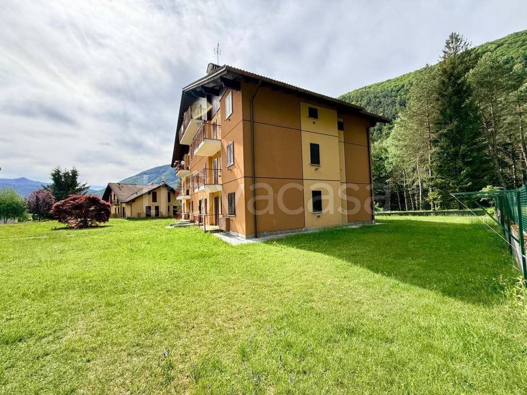 immagine annuncio 13 di 15
