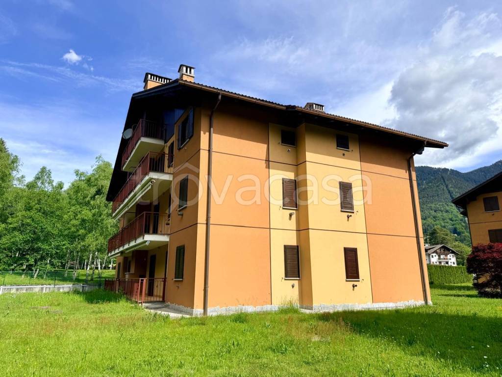immagine annuncio 5 di 15